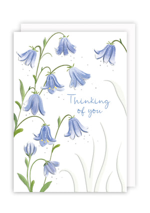 Thinking of You - Bluebells